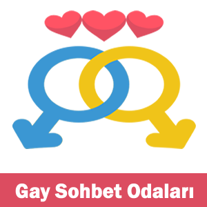 Gay Sohbet Girişi